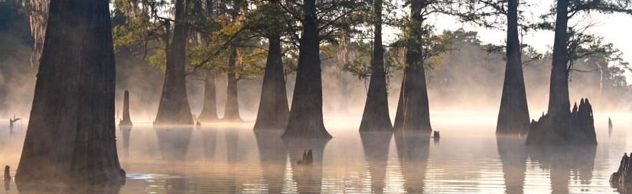 atchafalaya